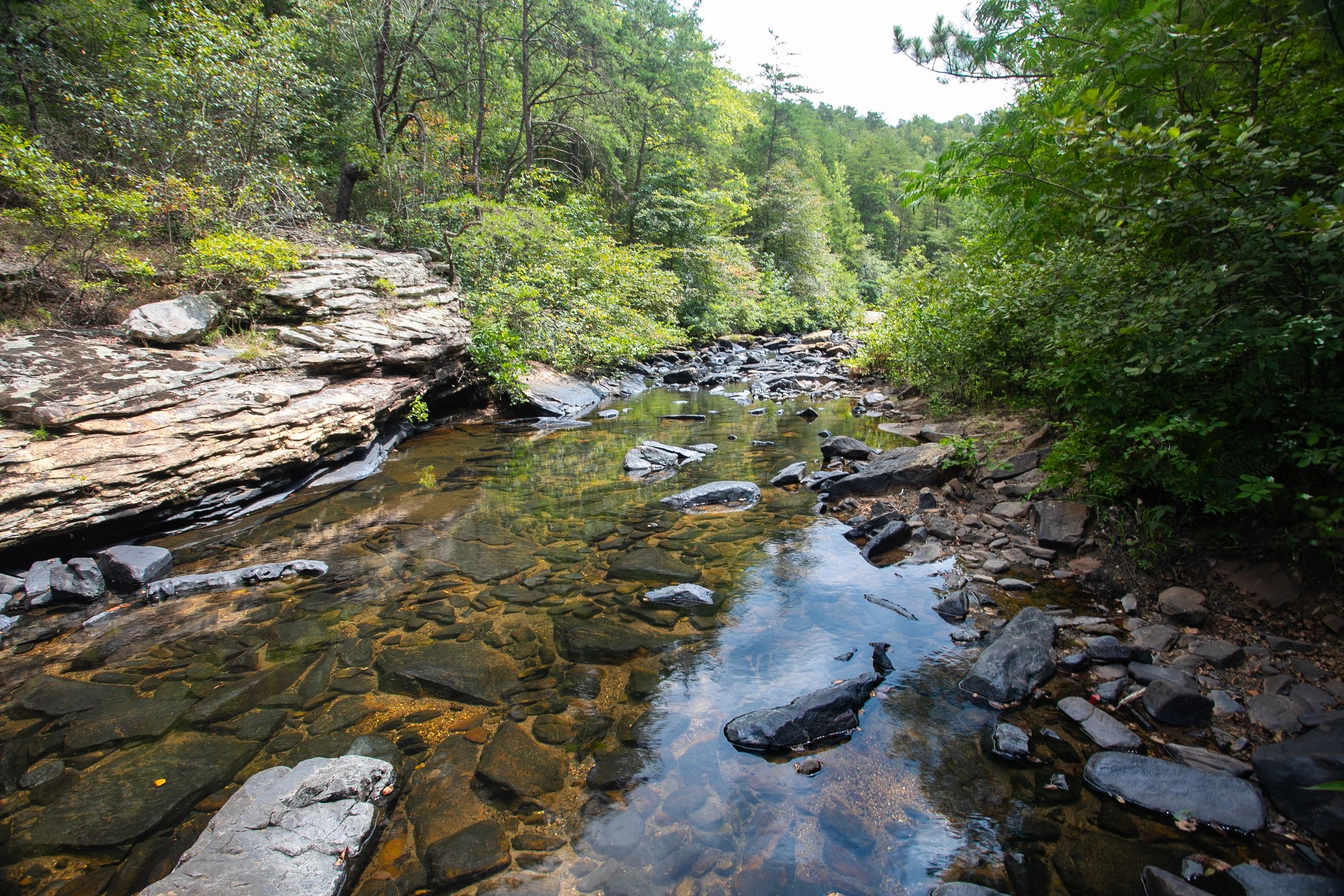 Clean river landscape representing clean air and water
